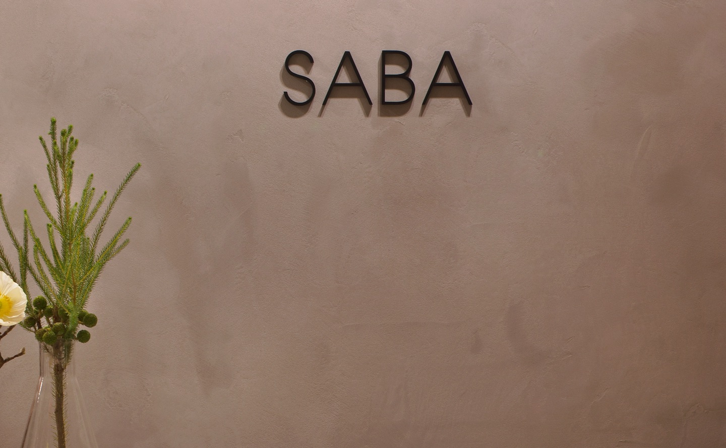 saba clothing store featuring velvet cremorne plaster